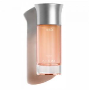 وايلد بيكاسوس